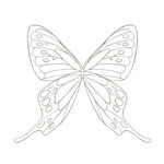 蝴蝶简笔画