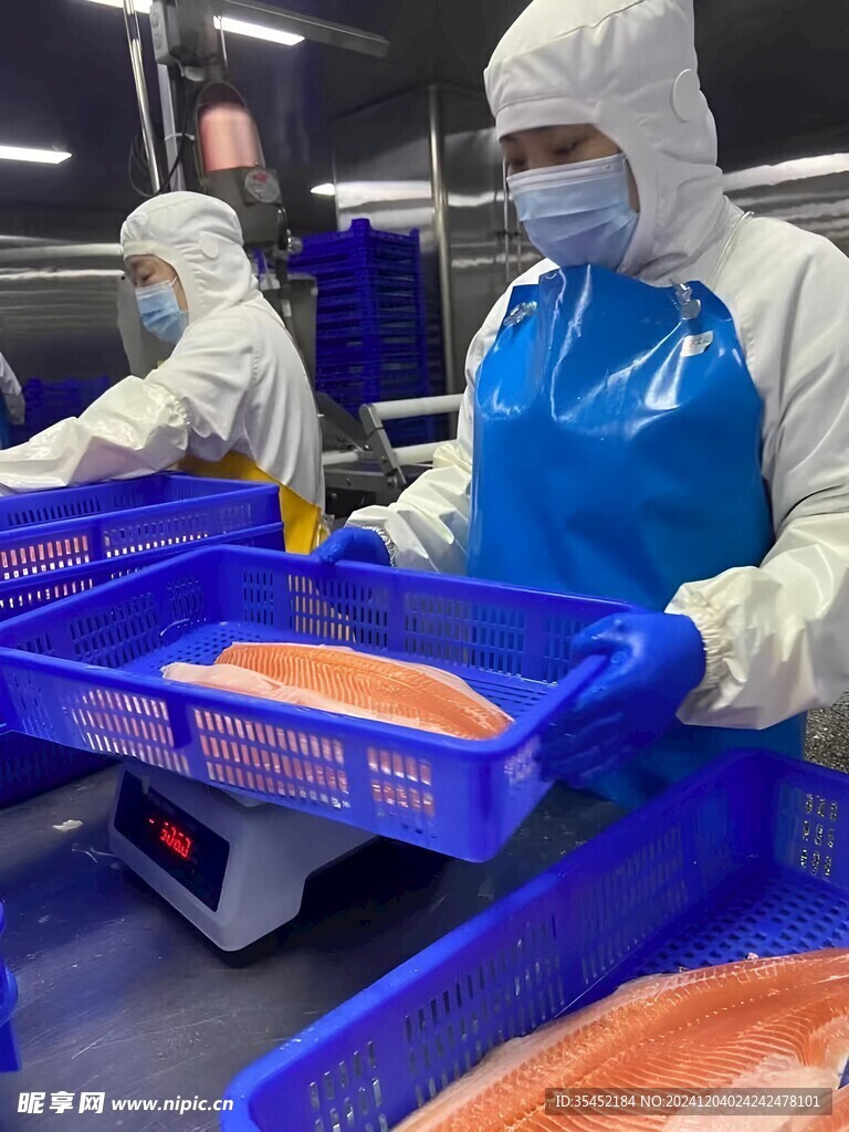 三文鱼加工
