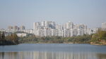 湖景