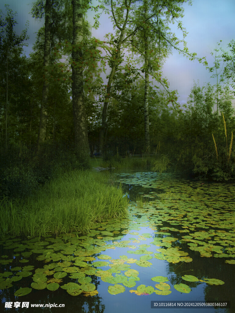 树林湖水