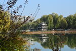 公园风景  