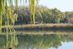 公园风景  