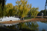 公园风景 