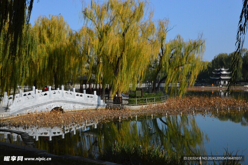 公园风景 