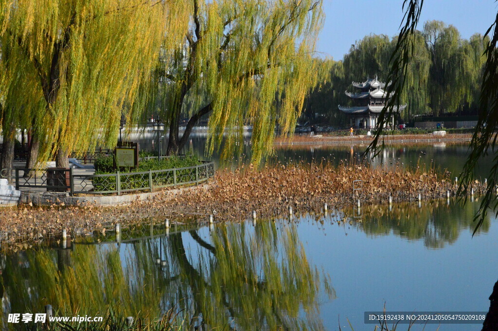 公园风景 