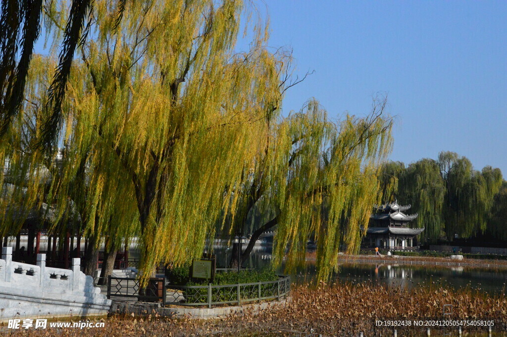 公园风景  