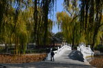 公园风景  