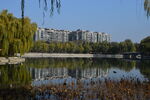 公园风景 