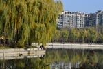 公园风景 