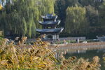 公园风景  