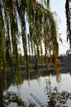 公园风景 