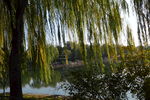 公园风景 