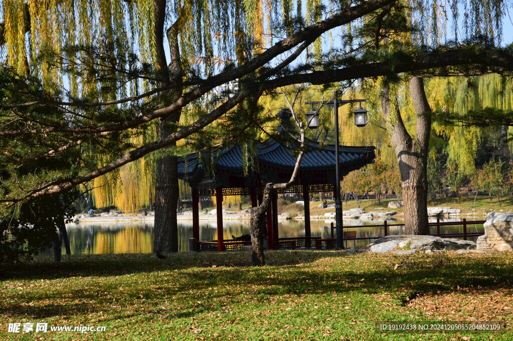 公园风景 