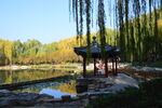 公园风景 