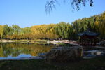 公园风景 