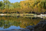 公园风景 
