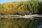 公园风景 