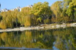 公园风景 