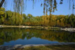公园风景 