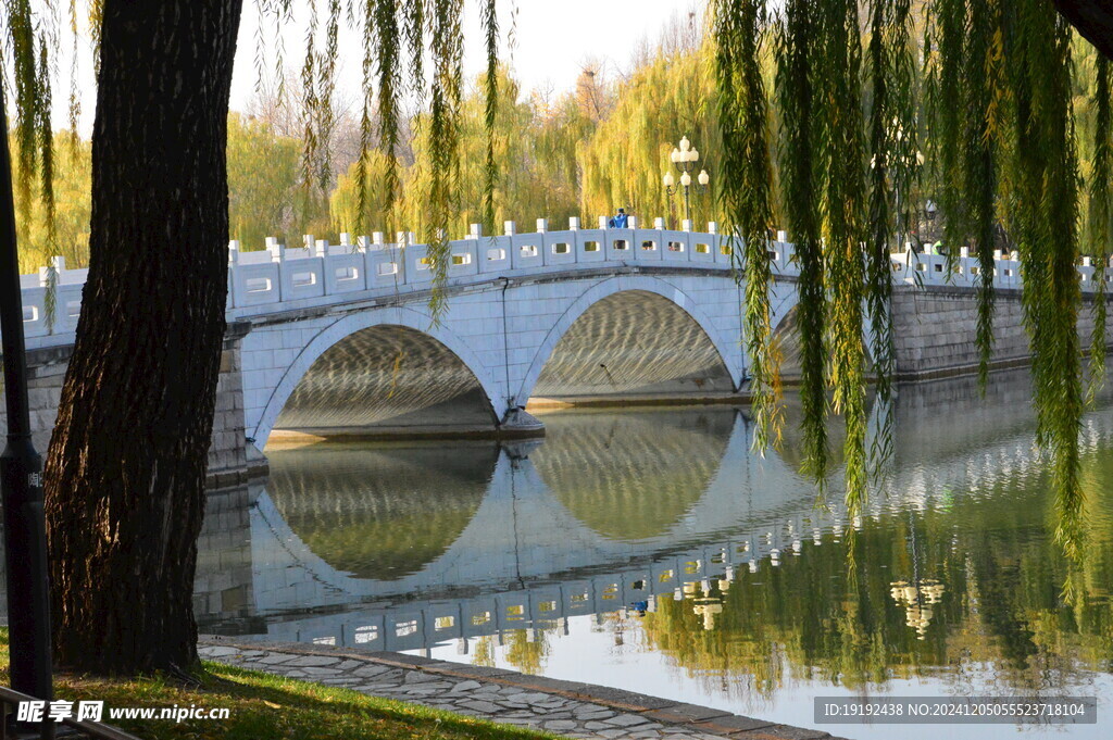 公园风景  