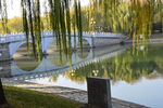 公园风景 