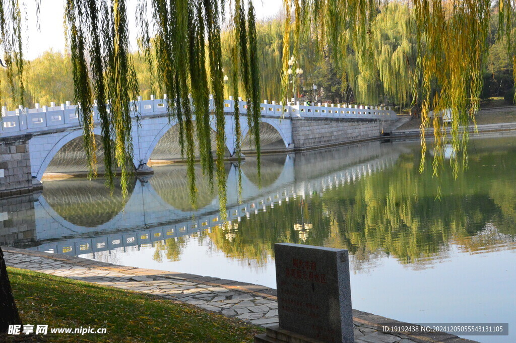 公园风景 