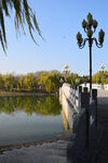 公园风景  