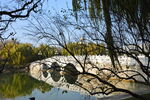 公园风景  