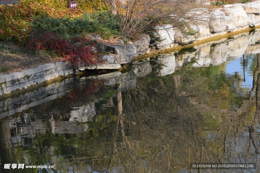 公园风景 