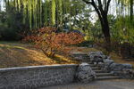 公园风景  