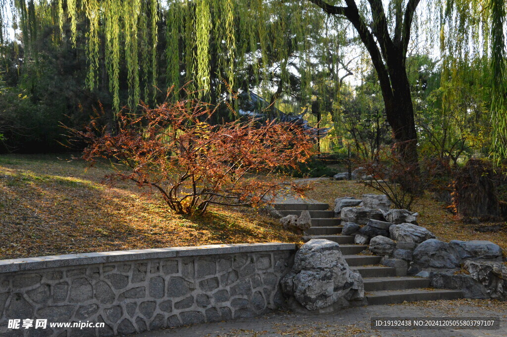 公园风景  