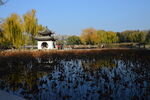 公园风景 