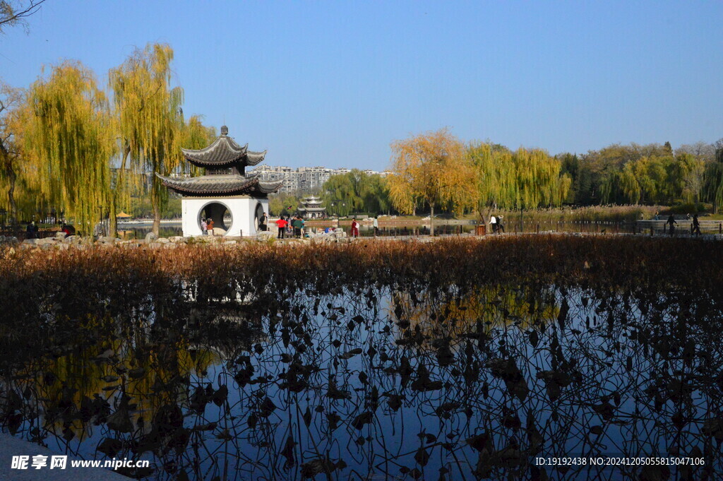 公园风景 