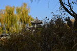 公园风景 