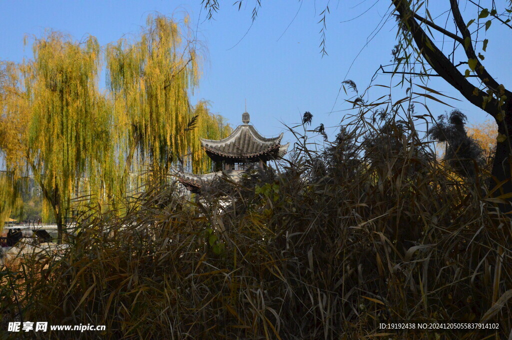 公园风景 