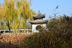 公园风景 