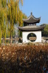 公园风景  