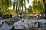 公园风景 