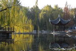 公园风景 