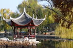 公园风景  