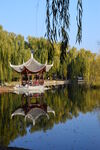 公园风景 