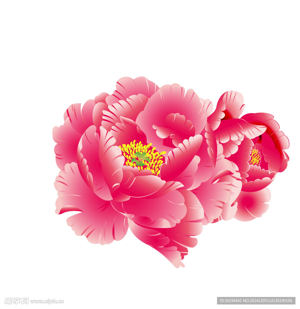 红色花