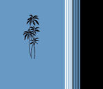 条子椰树