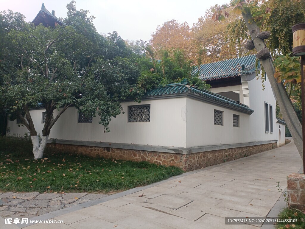 园林绿化