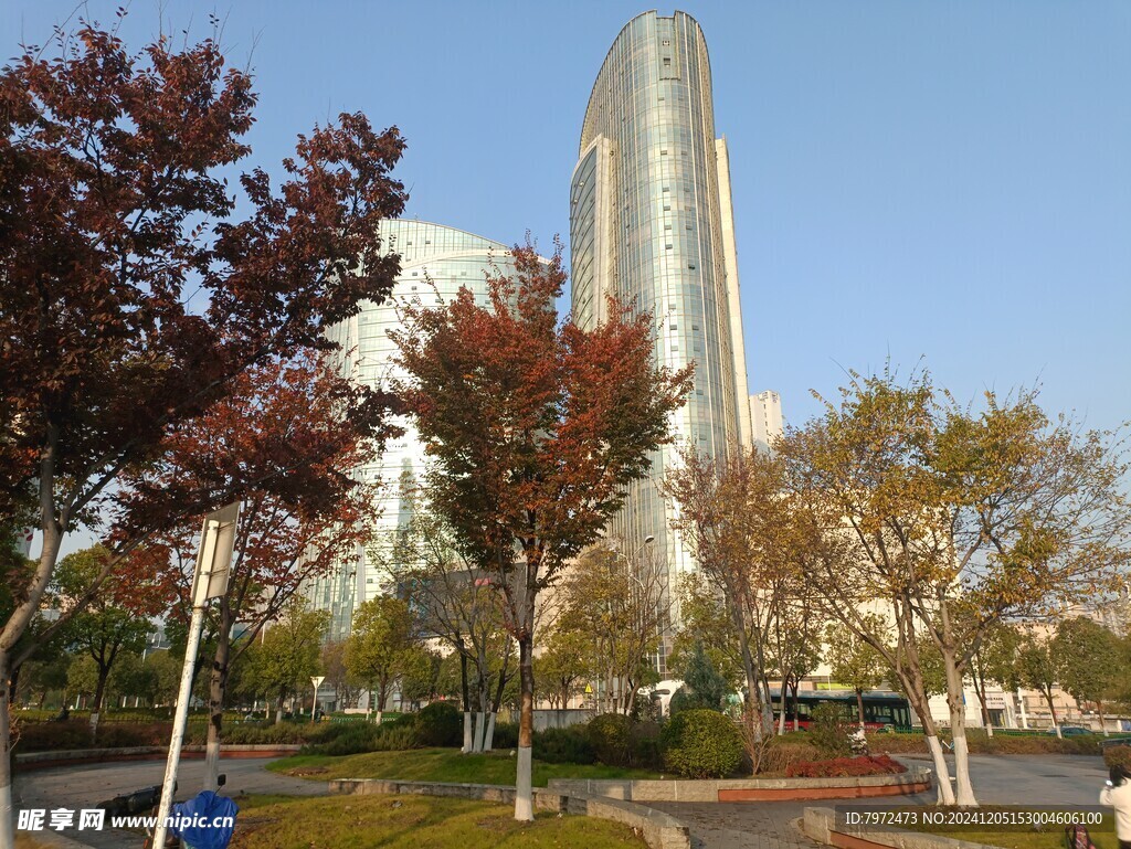 园林景观