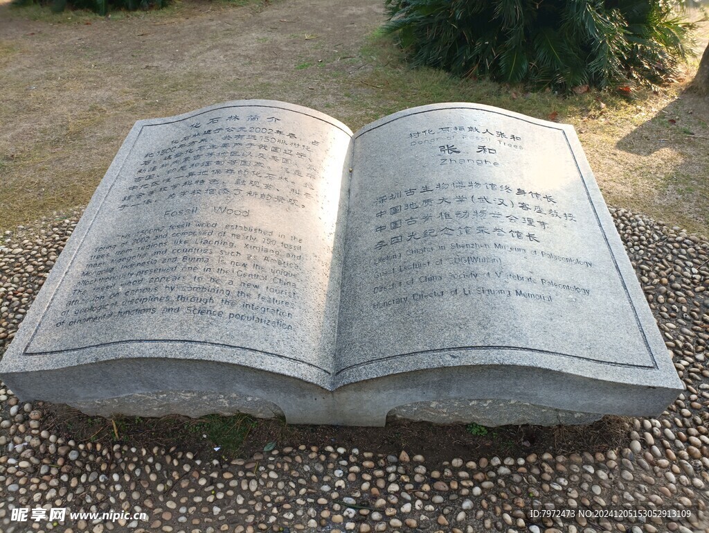 景观石