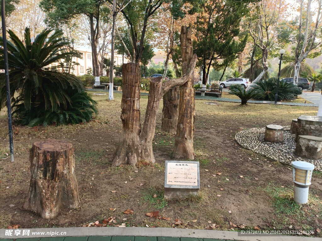 园林景观