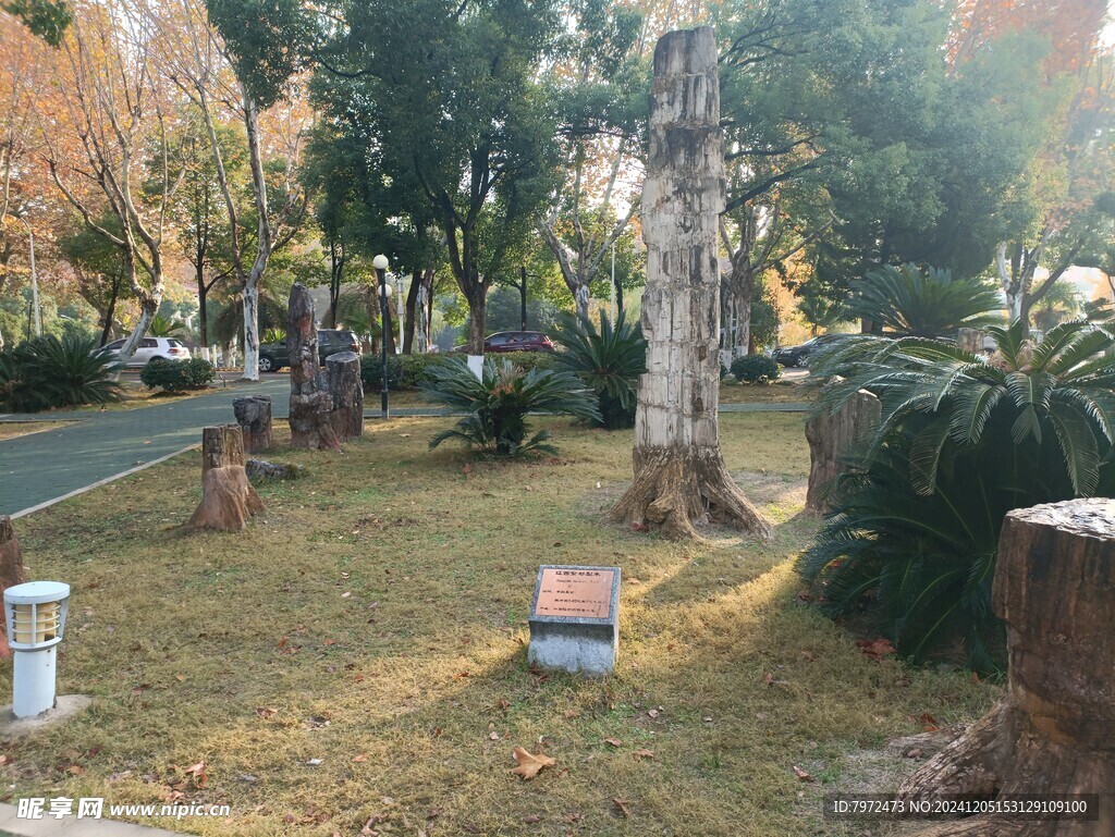园林景观