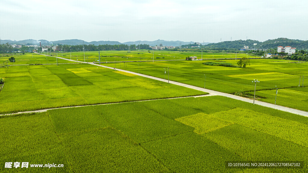 田园风光