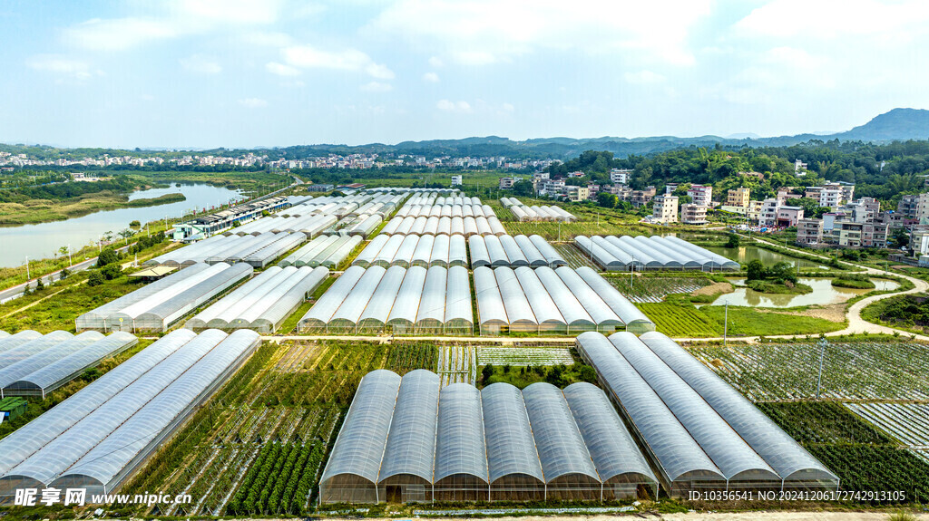 大棚蔬菜基地